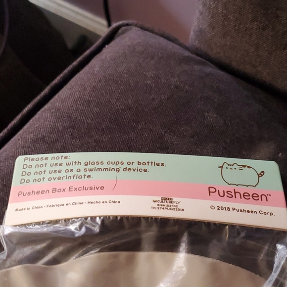 Pusheen Inflatable beverage float - Picture 4 of 4